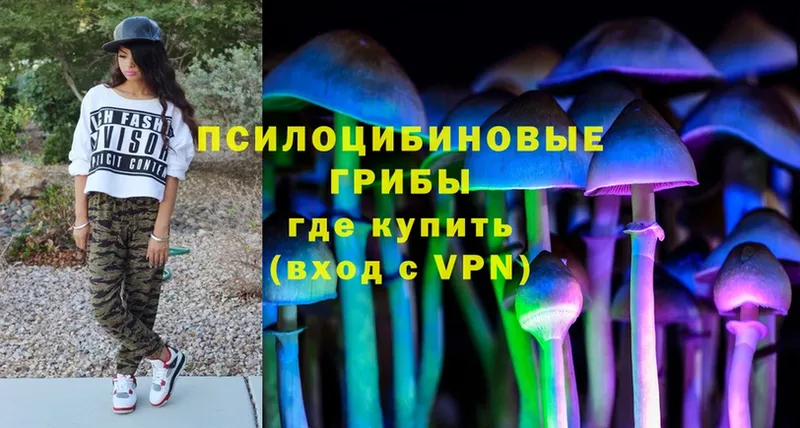 Галлюциногенные грибы MAGIC MUSHROOMS  Избербаш 